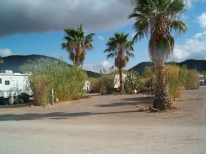 Coyote Howls - Why, AZ