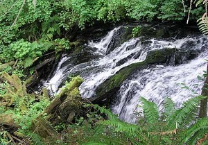 Premier Rv Resorts Of Clarkston Washington Clarkston Wa 2
