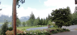 Rain Forest Resort Village Quinault Wa 2