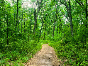 Green Lake Campground Green Lake Wi 1