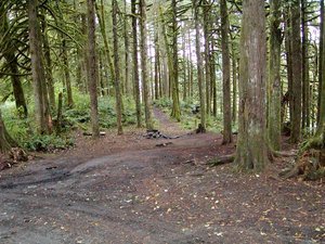 Sauk Park Rockport Wa 1