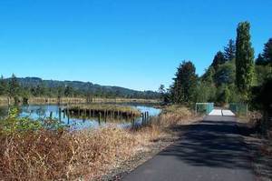 Willapa Harbor Golf And Rv Park Raymond Wa 2