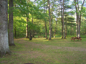 Pine Harbor Campground Chippewa Falls Wi 1