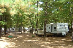 Pineland Camping Park Arkdale Wi 4