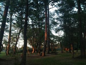 Pine Grove Campground And Waterfowl Park Chincoteague Va 0