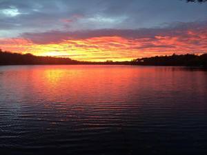 Wildlife Campgrounds Birnamwood Wi 1
