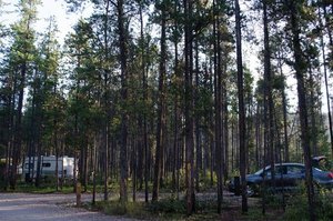 The Log Cabin Campground  Tlc  Cross Junction Va 1