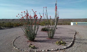Monticello Rv Park Truth Or Consenquences Nm 3