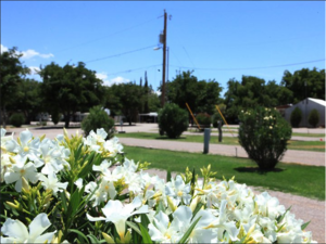Sunny Acres Rv Park Las Cruces Nm 4