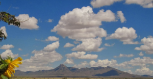 Temperate Zone Rv Park Deming Nm 2
