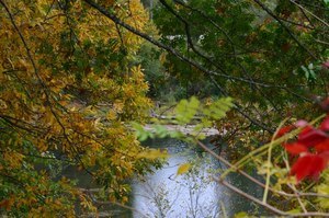 Swinging Bridge Resort Heber Springs Ar 1