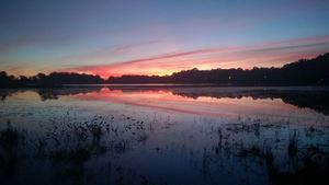 Oak Shores Campground Decatur Mi 1