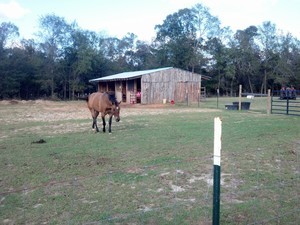 34 Ranch Campground Herod Il 2