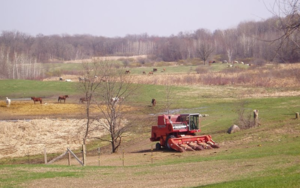 El Rancho Manana Richmond Mn 2