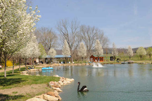 Around Pond Rv Park Baileyton Tn 1
