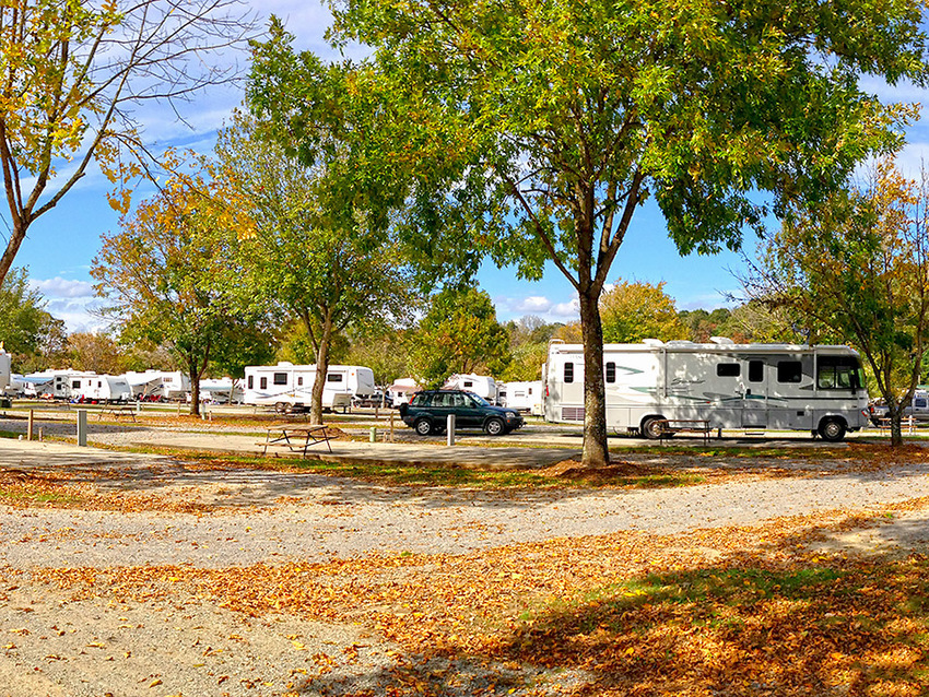 Big Meadow Family Campground Townsend Tn 0