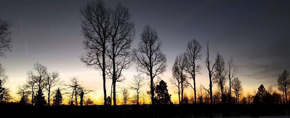 Pine Forest Park (Flaming Gorge) – Dutch John, UT | Rates, Reviews ...
