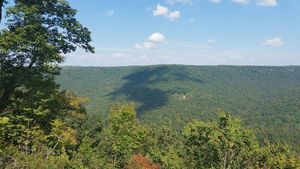 East Fork Resort   Stables Jamestown Tn 3