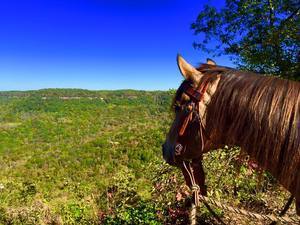 East Fork Resort   Stables Jamestown Tn 4