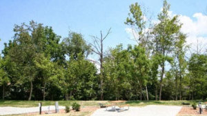 Pine Mountain Rv Park Pigeon Forge Tn 7