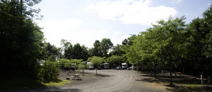 Christmas Pines Campground Auburn Pa 1