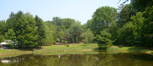 Christmas Pines Campground Auburn Pa 2