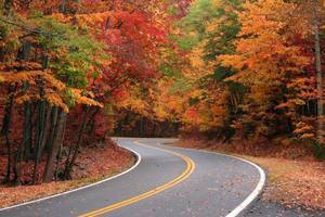 Smoky Mountain Premier Rv Resort Cosby Tn 4