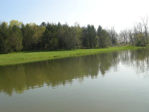 Dogwood Acres Campground Newville Pa 1