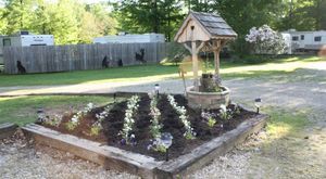 Forest Ridge Marienville Pa 2