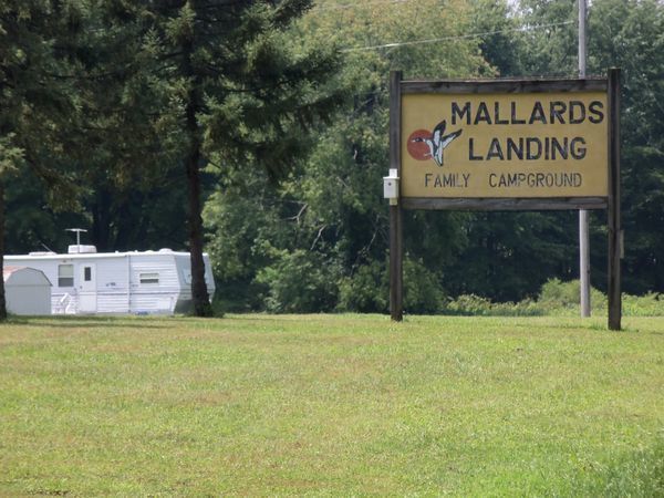 Mallards Landing Linesville Pa 0