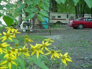 Riverfront Campground And Fishing Camp Duncannon Pa 1