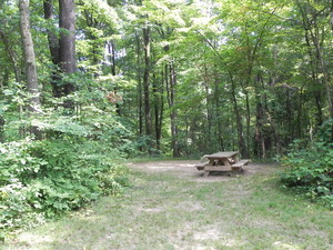 Scarlett Knob Campground Ohiopyle Pa 3