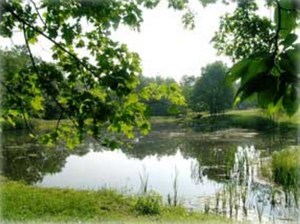 Valleyview Farm   Campground Waymart Pa 2