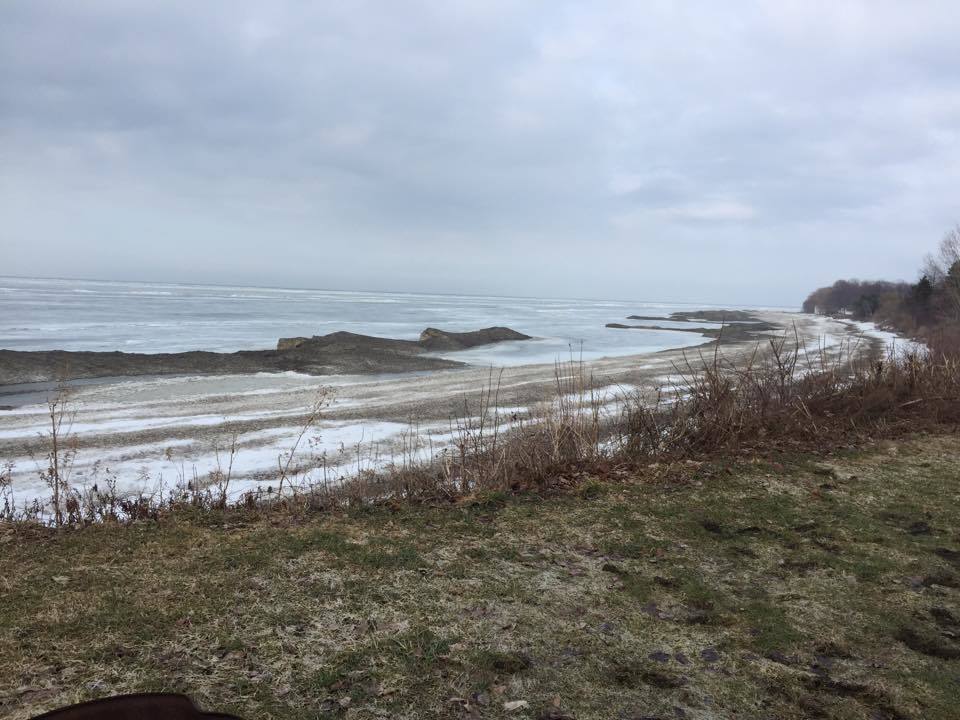 Virginia's Beach 2 Photos Northspringfield, PA RoverPass