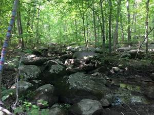 Warwick Woods Campground Elverson Pa 2