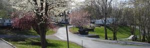Chimney Rock Rv Park Harrodsburg Ky 2