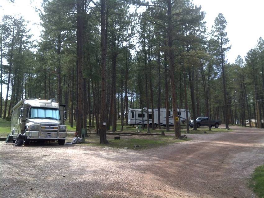 Big Pine Campground Custer Sd 0