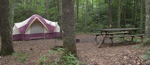 Falls Creek Cabins   Campground Corbin Ky 5