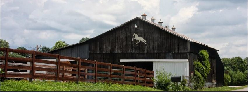 Green River Stables Campbellsville Ky 1