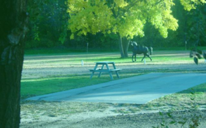 4 Aces Rv Park Kinsley Ks 1