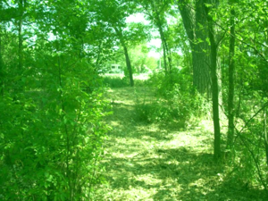 4 Aces Rv Park Kinsley Ks 2