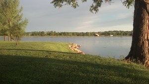 Sunset Park Campground Smith Center Ks 2
