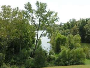Linn County Park Lake Lacygne Lacygne Ks 2