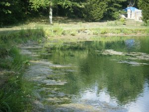 Arrow Point Campground Loudonville Oh 1