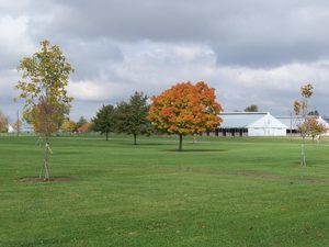 Darke County Fairgrounds Greenville Oh 2