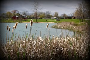 Funny Farm Campgrounds Pioneer Oh 1