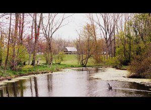 Funny Farm Campgrounds Pioneer Oh 2