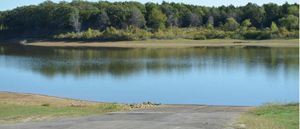 Walnut Creek Marina Scottsville Ky 2