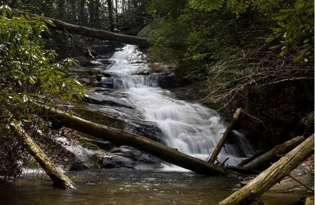 Wildcat Creek Campground Murray Ky 1