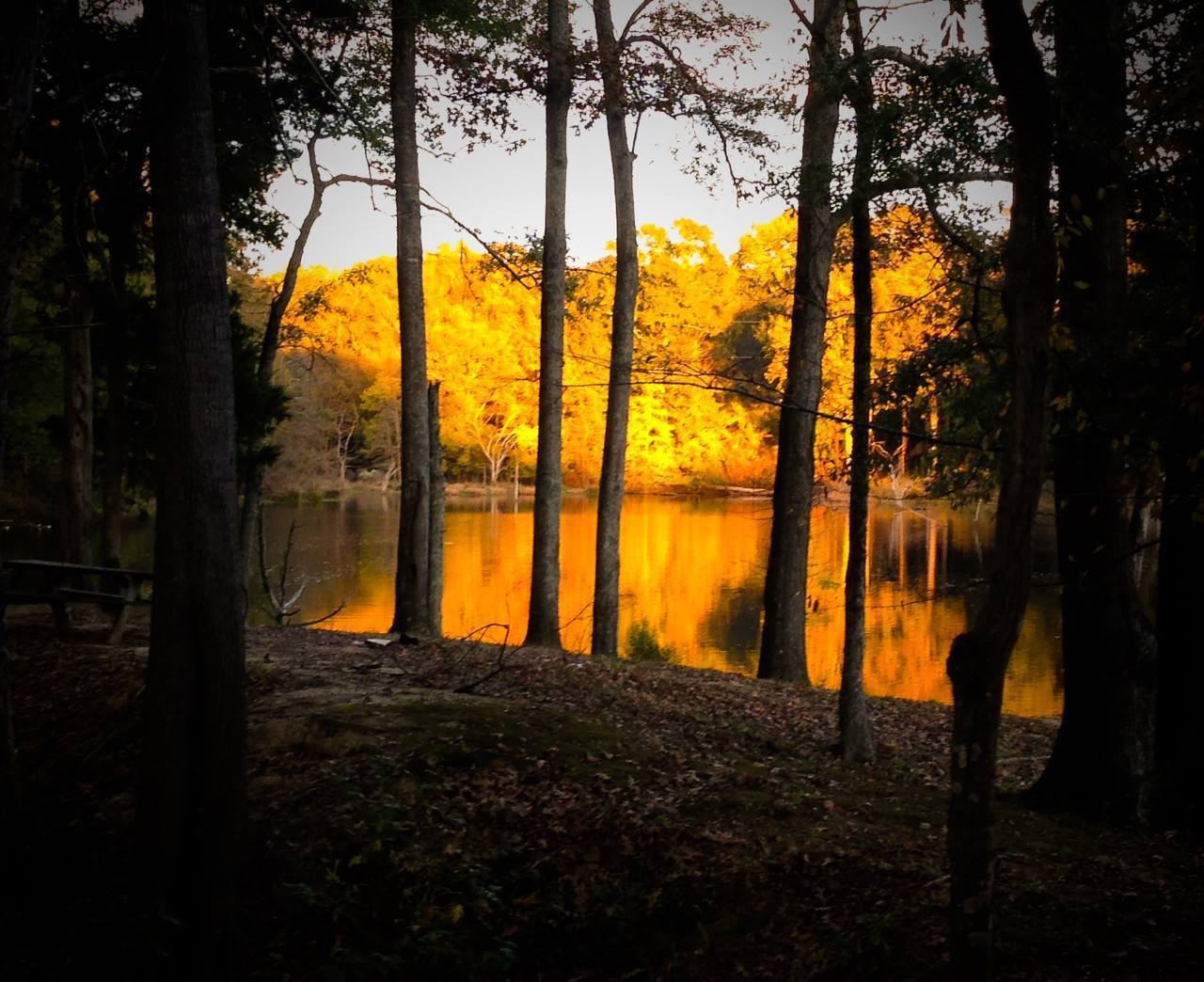 Askew's Landing RV Campground 18 Photos, 24 Reviews Edwards, MS